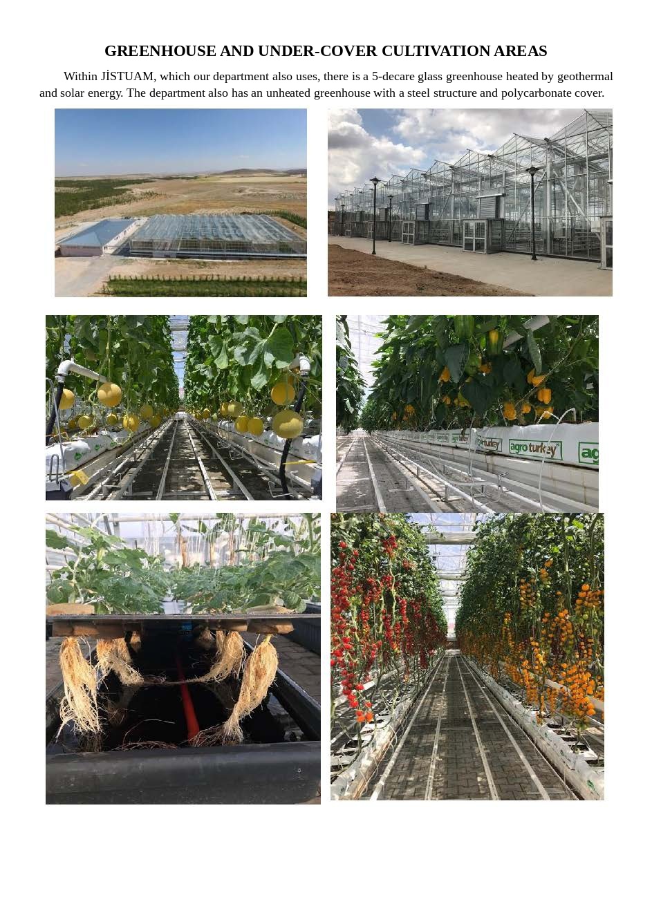 greenhouse_english.jpg